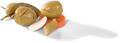 Marinated Cracked Deli Olives